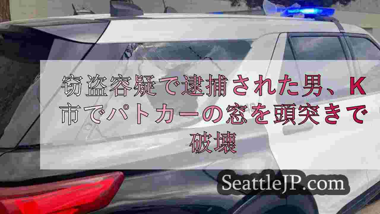 ケネウィックで窃盗容疑で逮捕された男、頭突きでパトカーの窓ガラスを割る