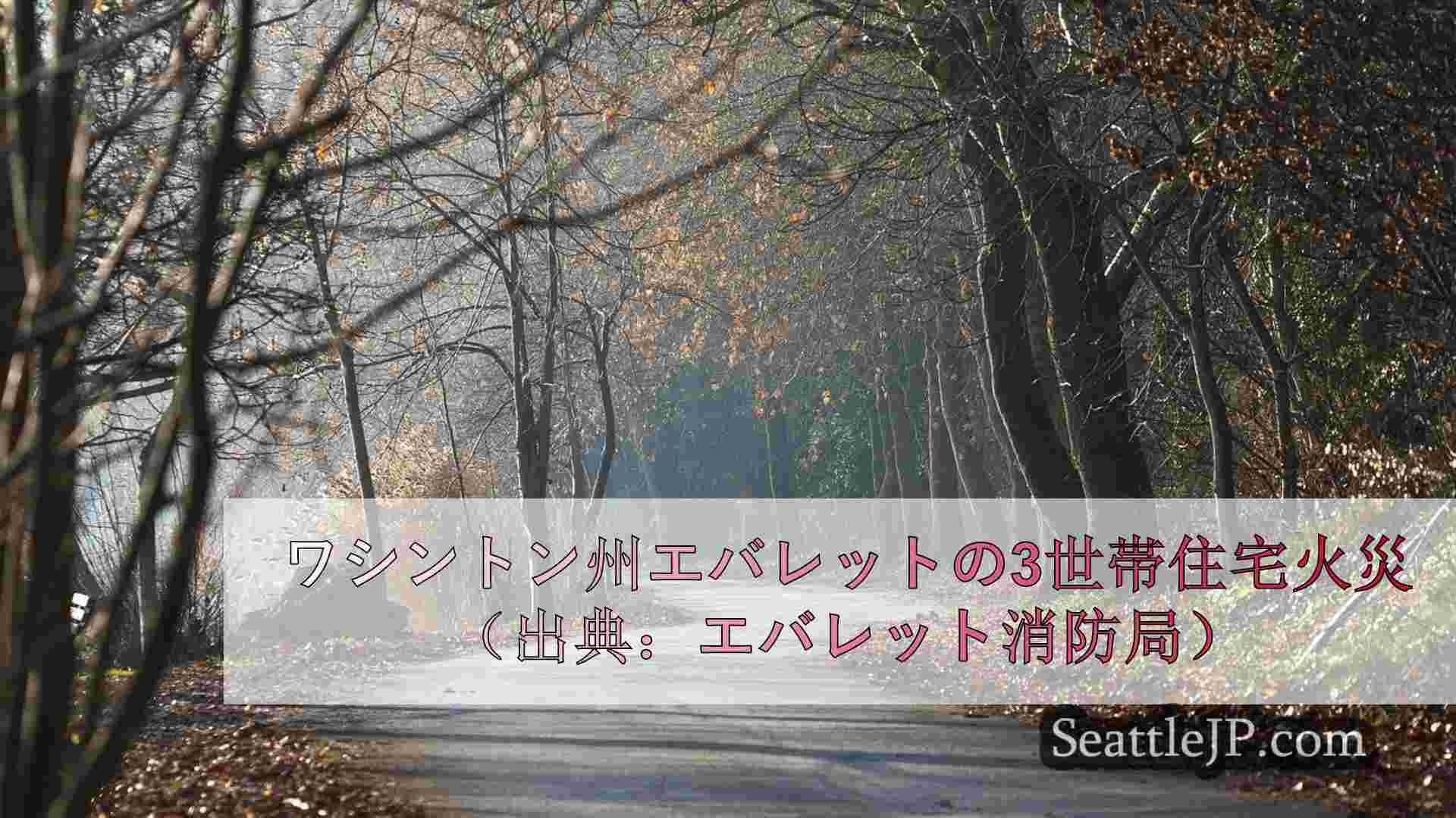 ワシントン州エバレット、トリプルハウスの火災でペットが死亡、屋根が崩落