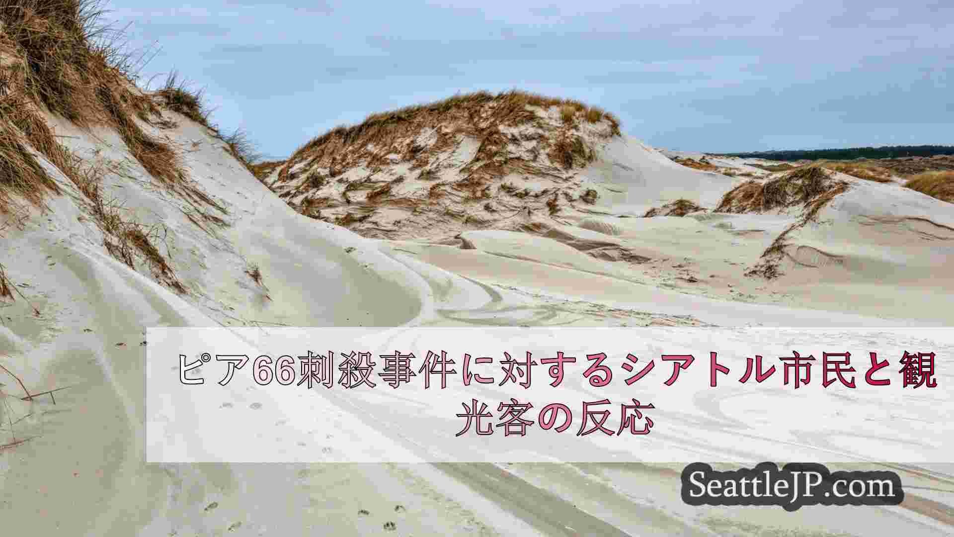 ピア66刺殺事件に対するシアトル市民と観光客の反応