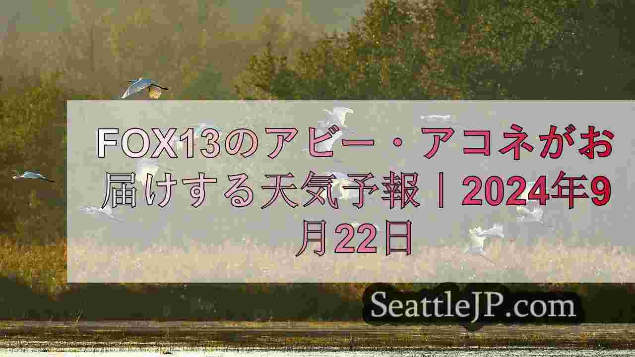 シアトルニュース SeattleJP