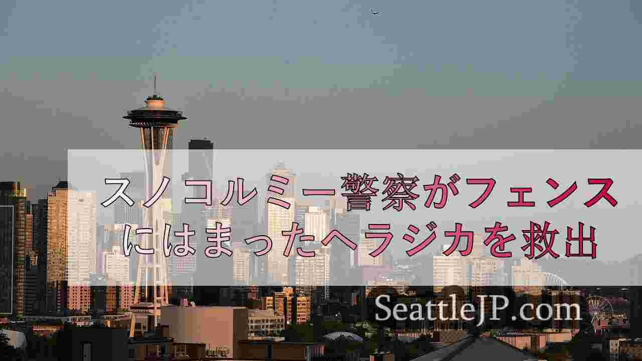 シアトルニュース SeattleJP