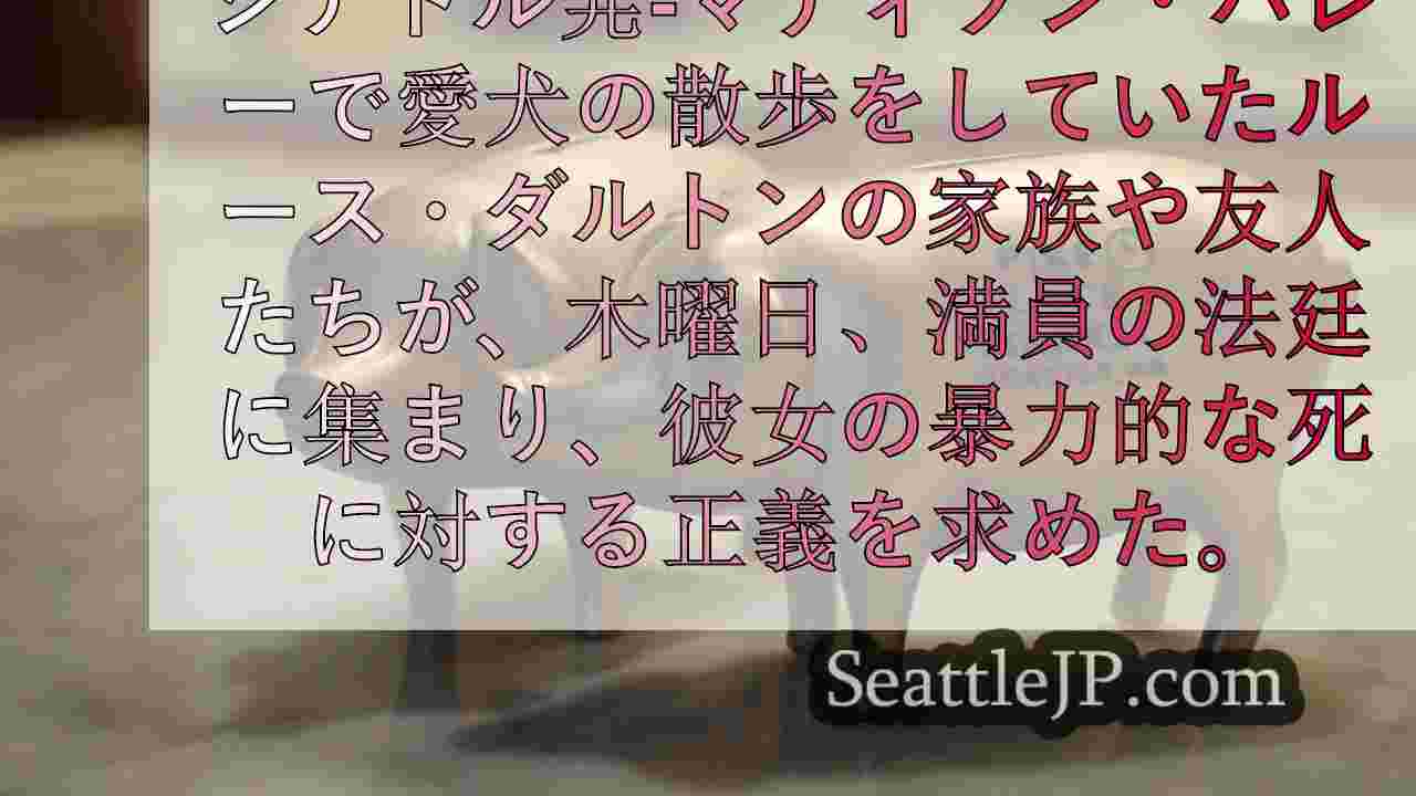シアトルでカージャックに遭った愛犬家の死に対する裁きの遅れ