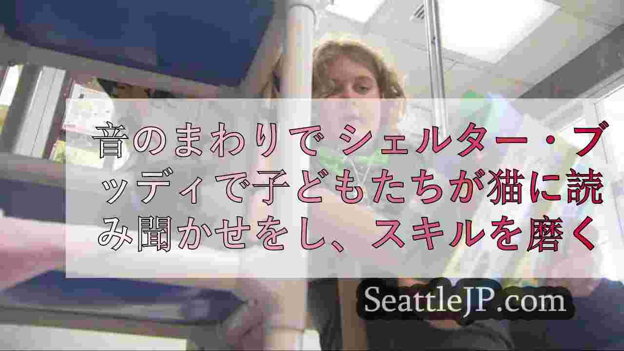 音の周辺で