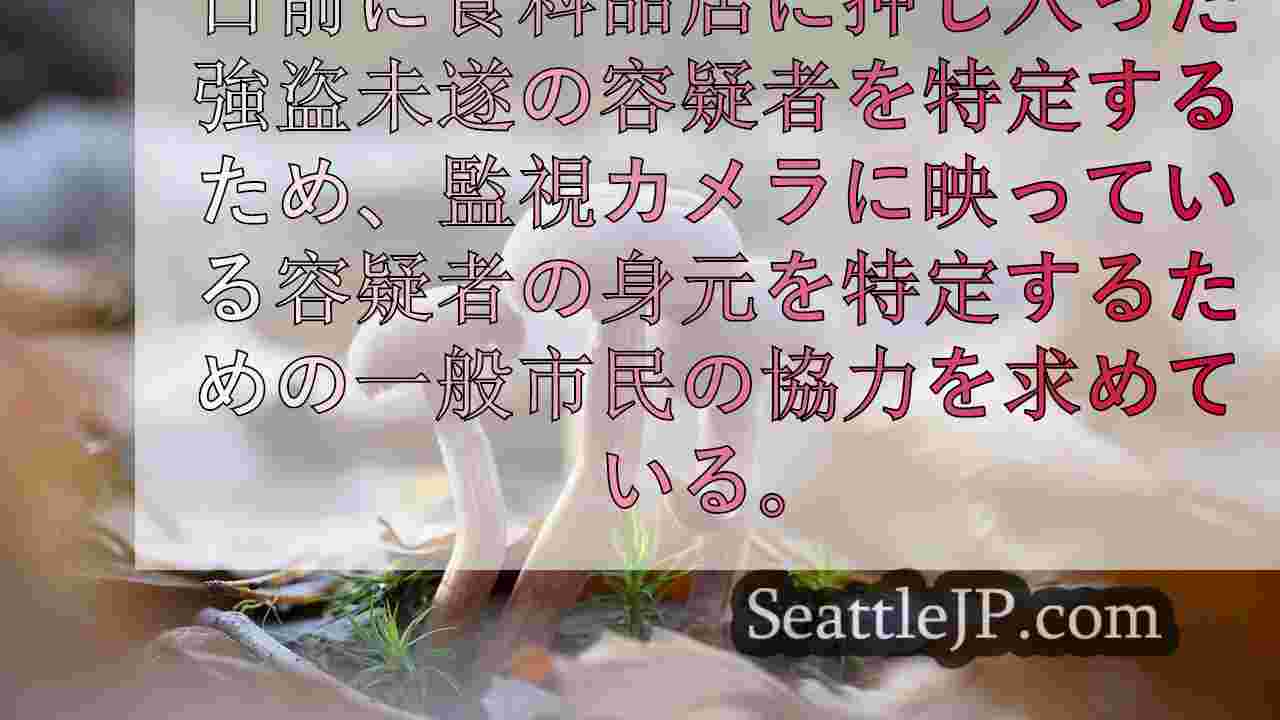 シアトルニュース SeattleJP