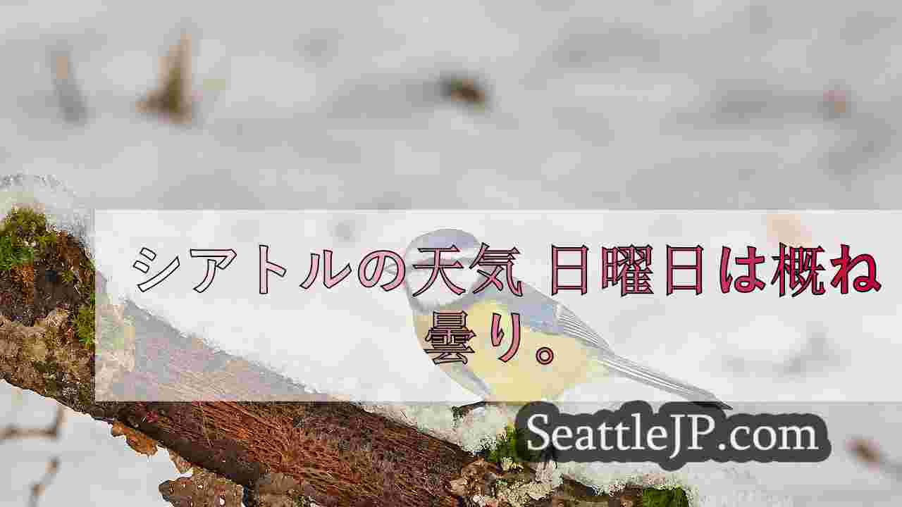 シアトルニュース SeattleJP