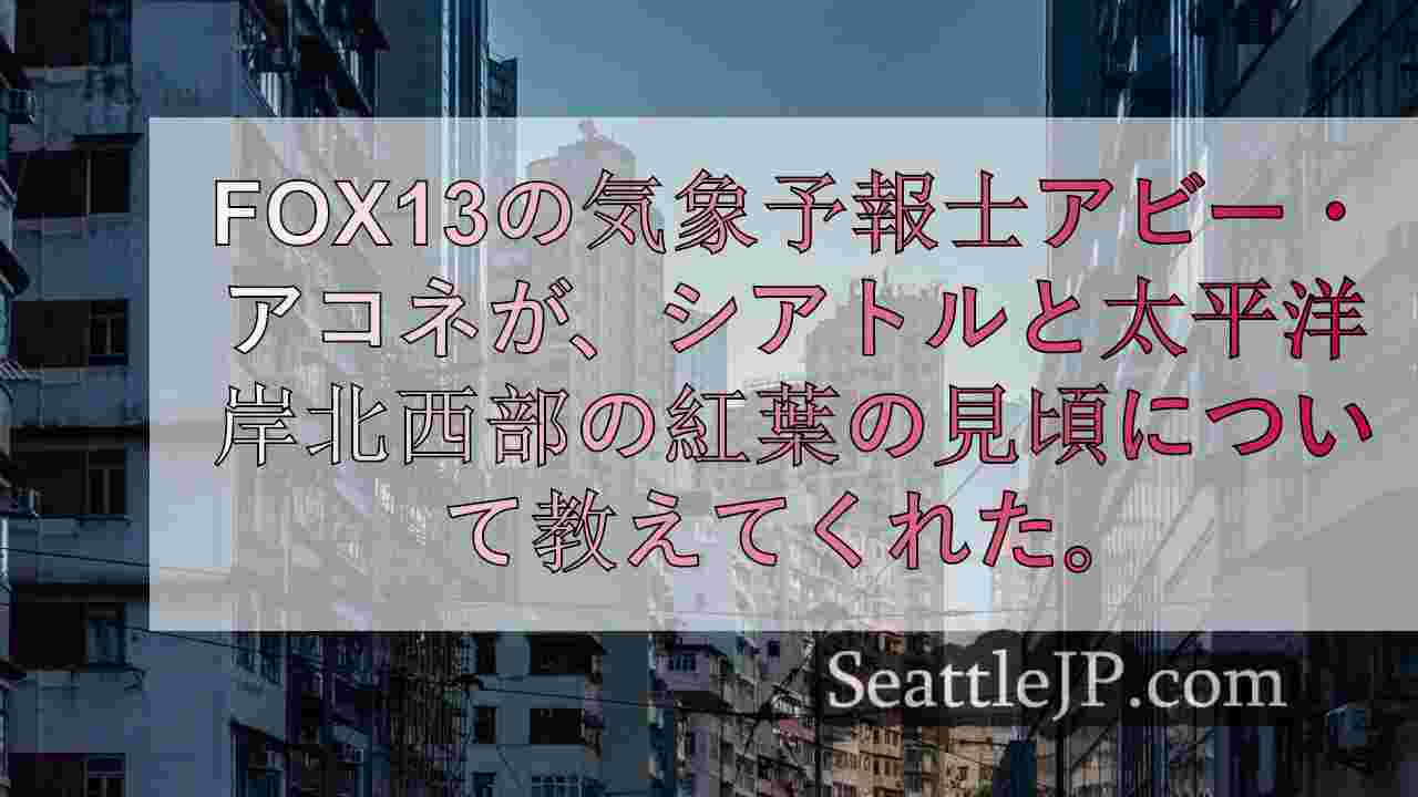 シアトルニュース SeattleJP