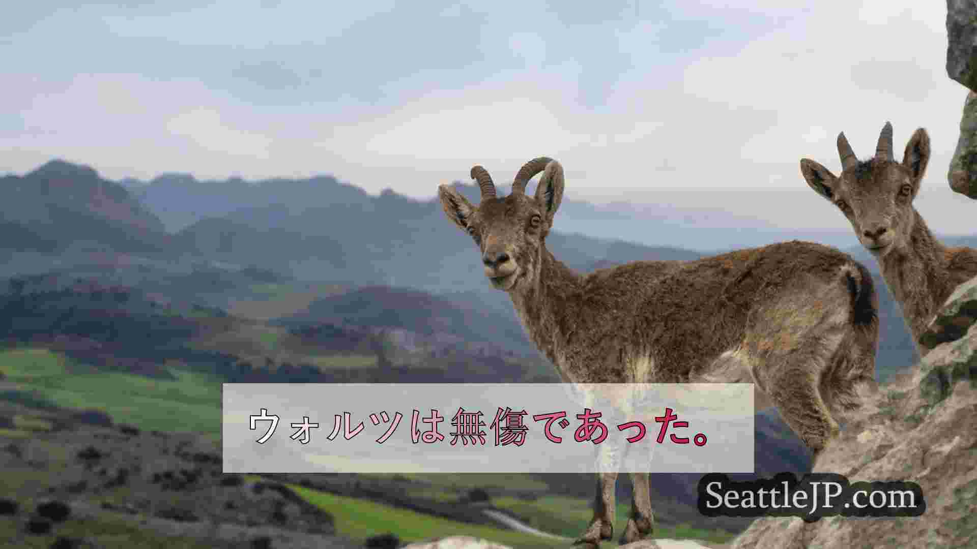 シアトルニュース SeattleJP