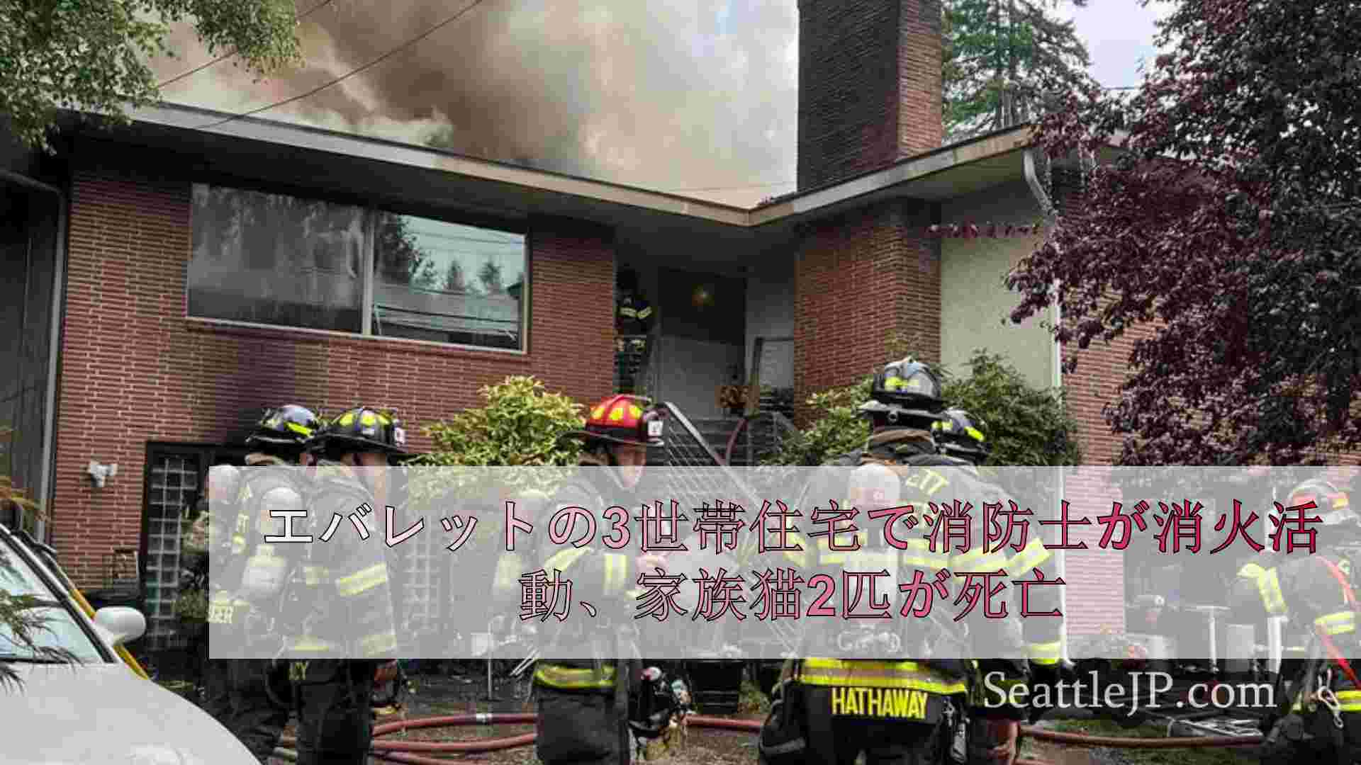 エバレットの3世帯住宅で消防士が消火活動、家族の猫2匹が火事で死亡