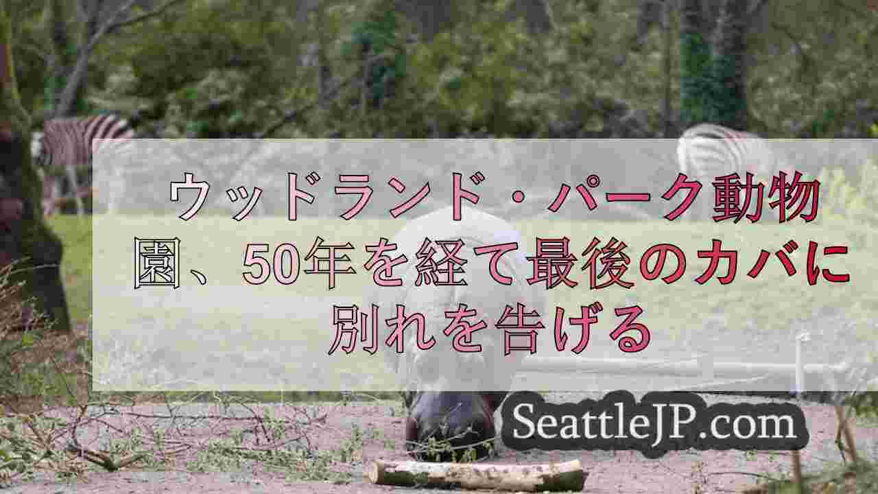 シアトルニュース SeattleJP