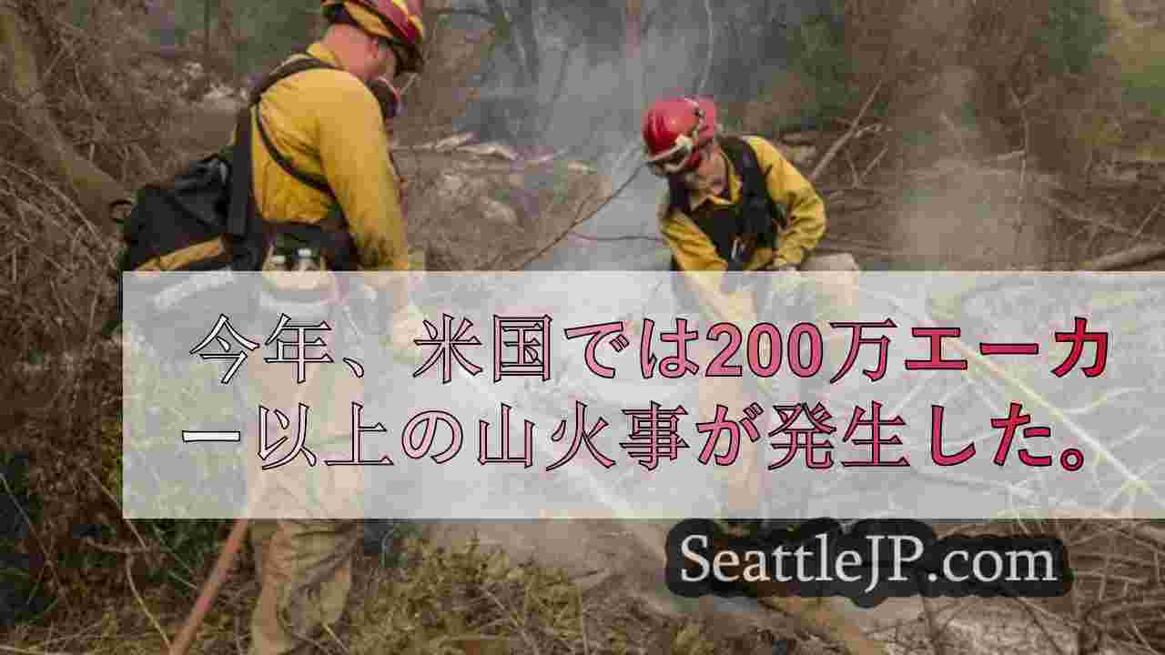 太平洋岸北西部は「準備レベル5」、山火事活動が資源を圧迫