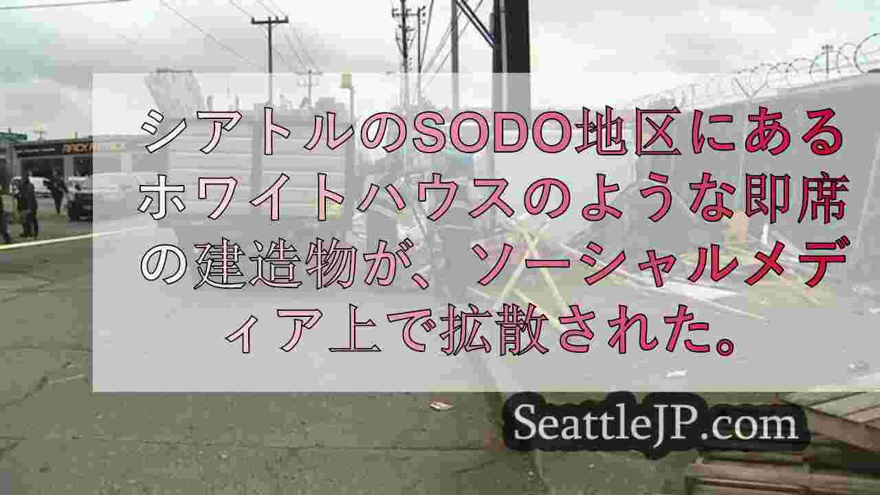 シアトルニュース SeattleJP