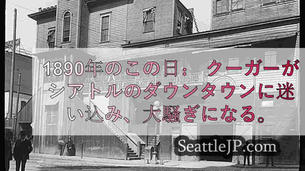 1890年のこの日： クーガーがシアトルのダウンタウンに迷い込み、大騒ぎになる。