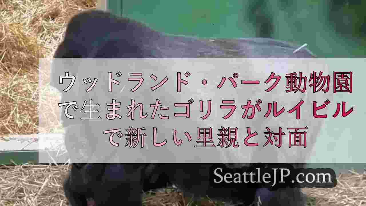 ウッドランド・パーク動物園で生まれたゴリラがルイビルで新しい里親と対面