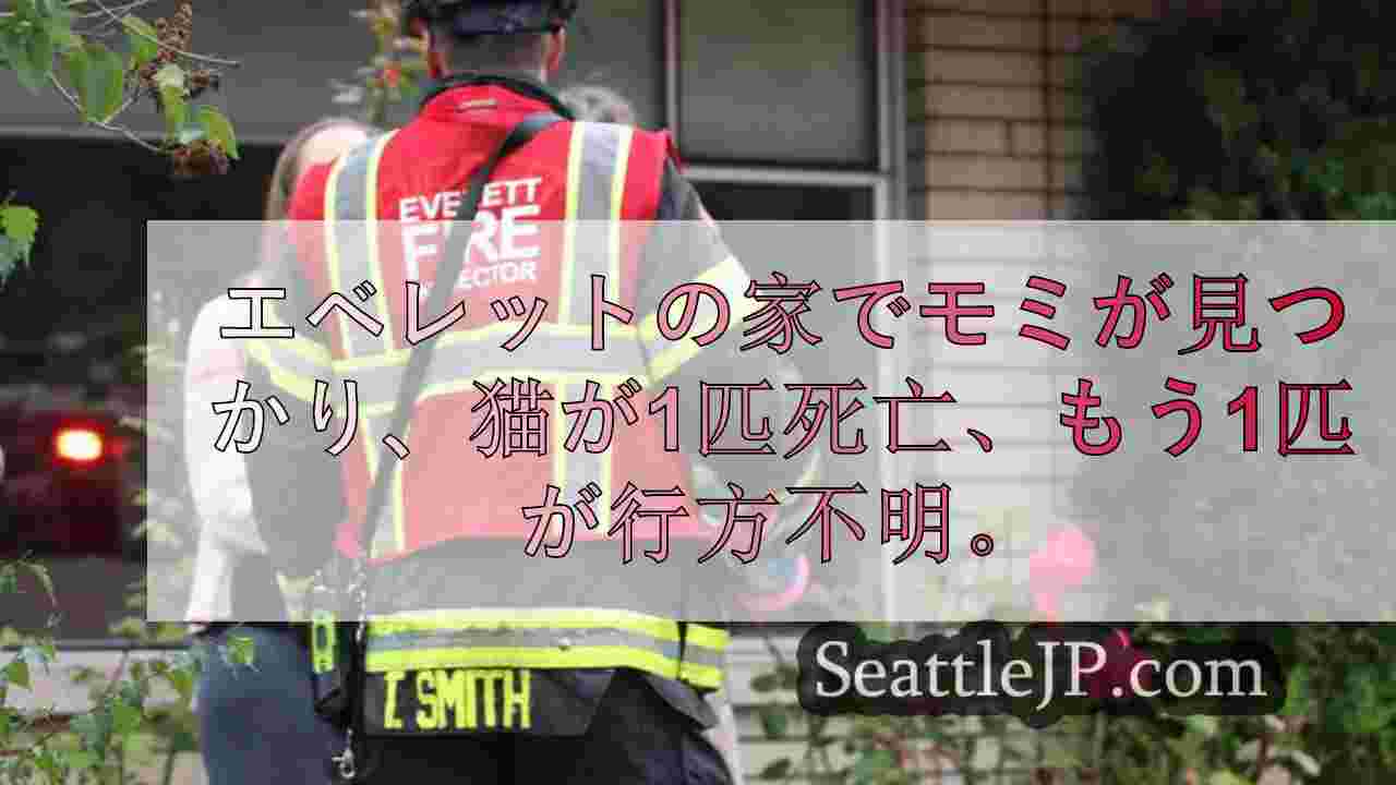 エベレットの家が火事となり、猫1匹が死亡、もう1匹が行方不明