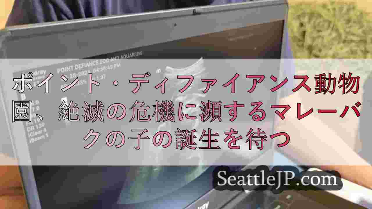 ポイント・ディファイアンス動物園、絶滅の危機に瀕するマレーバクの子の誕生を待つ