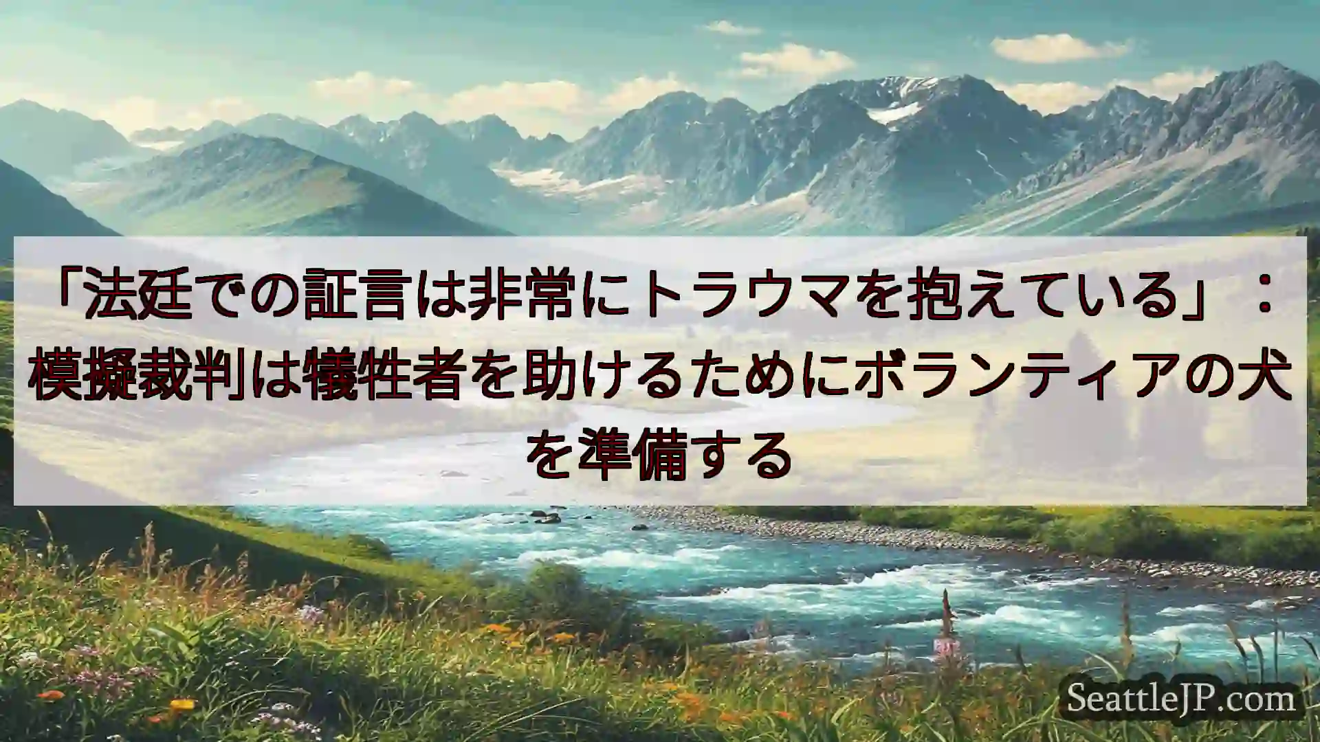 シアトルニュース 「法廷での証言は非常にトラウマを抱えている」：模擬裁判は犠牲者を助ける