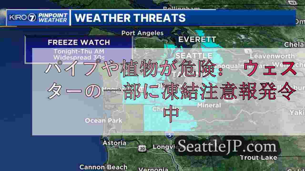 パイプや植物が危険： ワシントン州西部の一部に凍結注意報発令中
