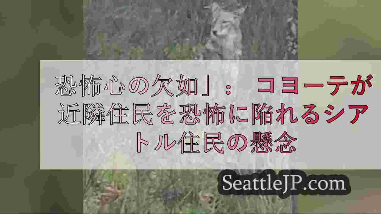恐怖心の欠如」： コヨーテが近所を恐怖に陥れるシアトル住民の懸念