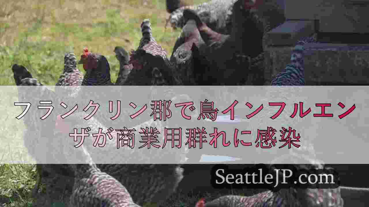 フランクリン郡で鳥インフルエンザが商業用群れに感染