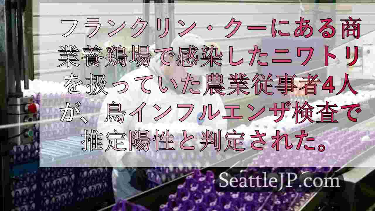 シアトルニュース SeattleJP