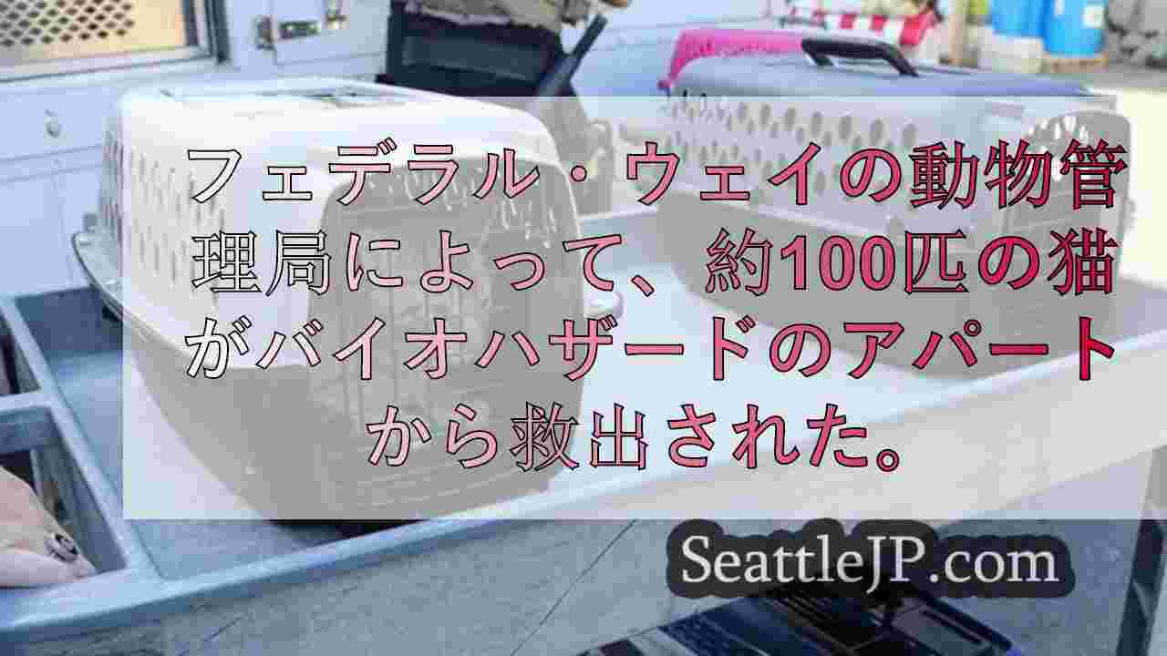 シアトルニュース SeattleJP
