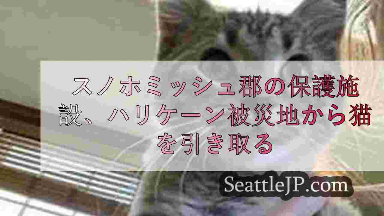 シアトルニュース SeattleJP