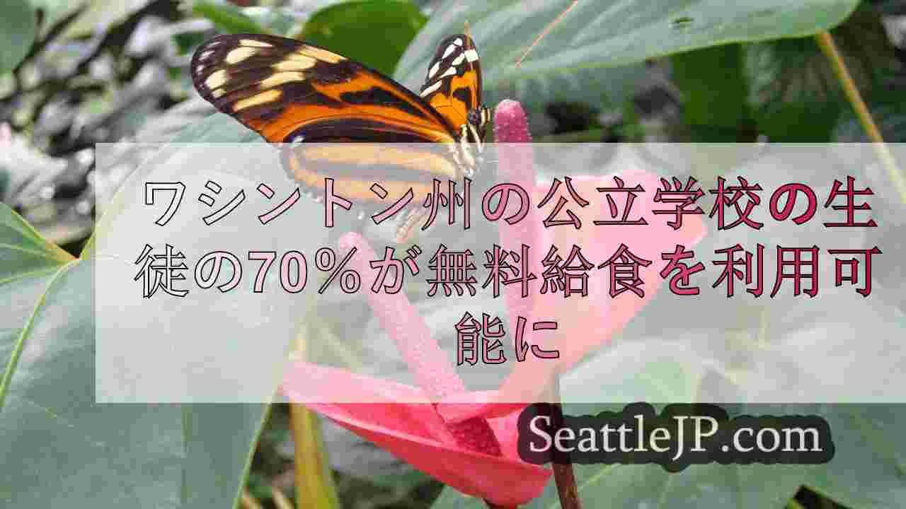 シアトルニュース SeattleJP