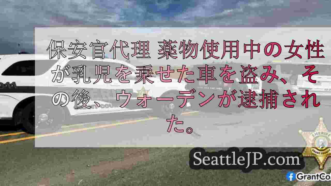 保安官代理