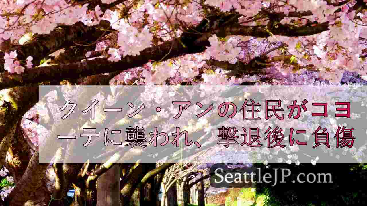 シアトルニュース SeattleJP
