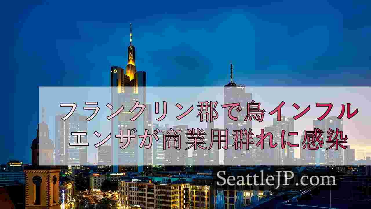 シアトルニュース SeattleJP