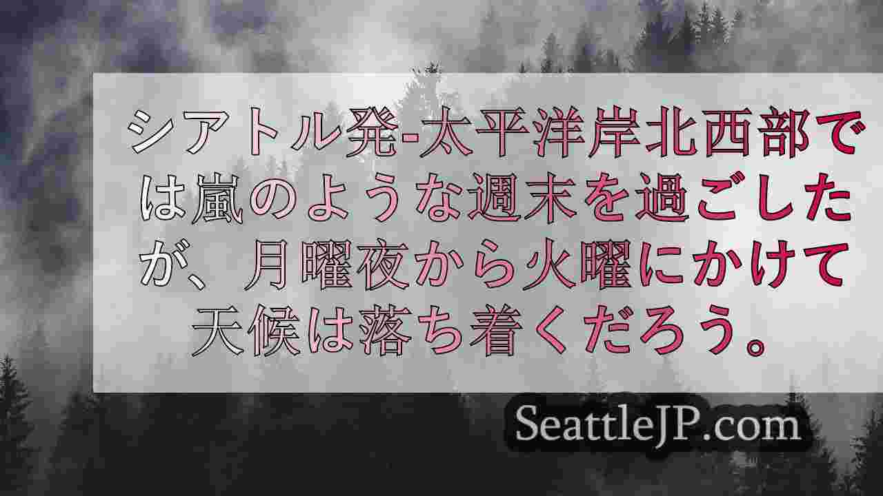 シアトルニュース SeattleJP