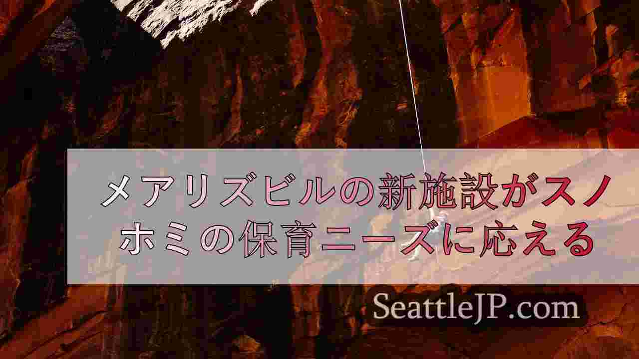 シアトルニュース SeattleJP