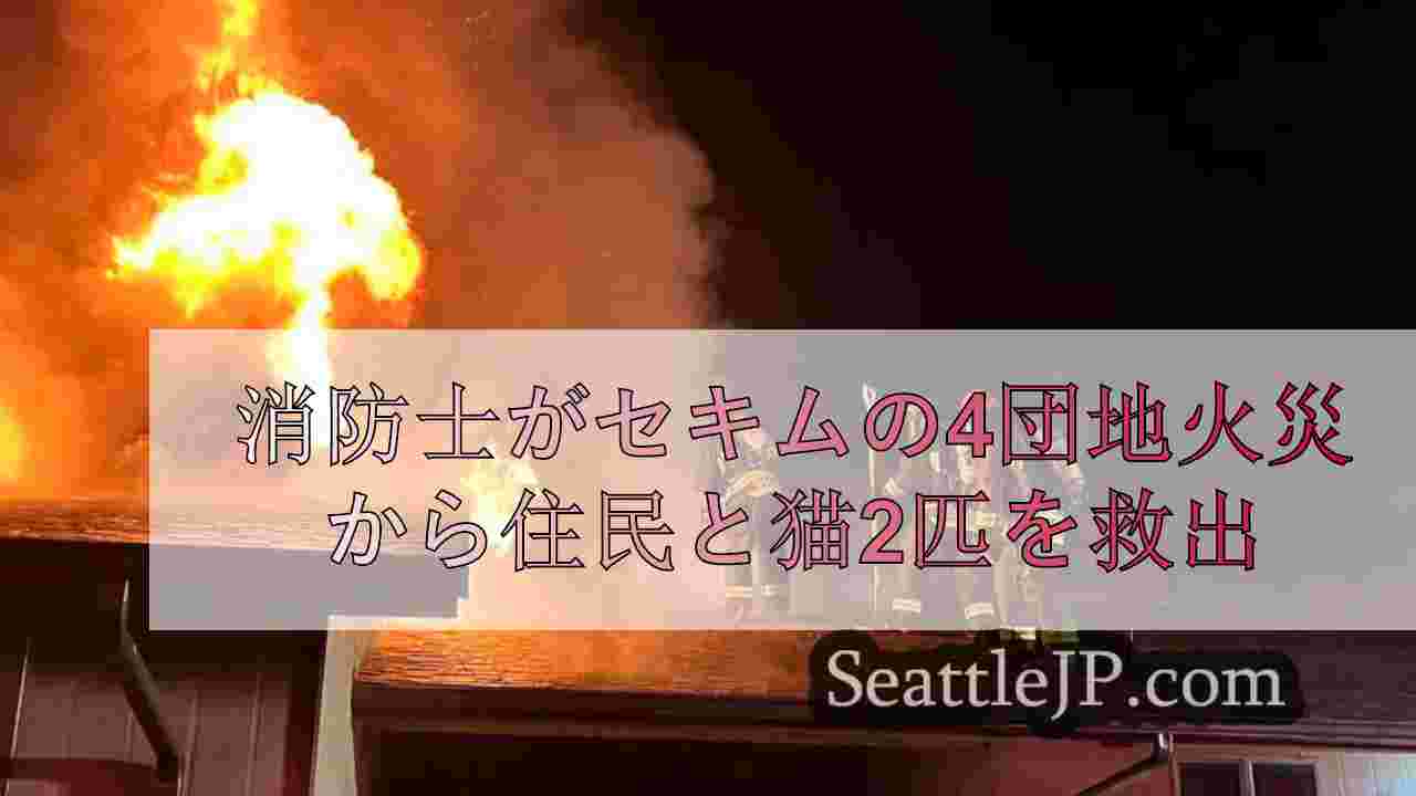 消防士がセキムの4団地火災から住民と猫2匹を救出