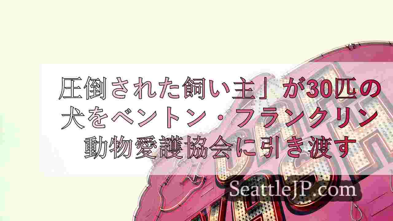 シアトルニュース SeattleJP