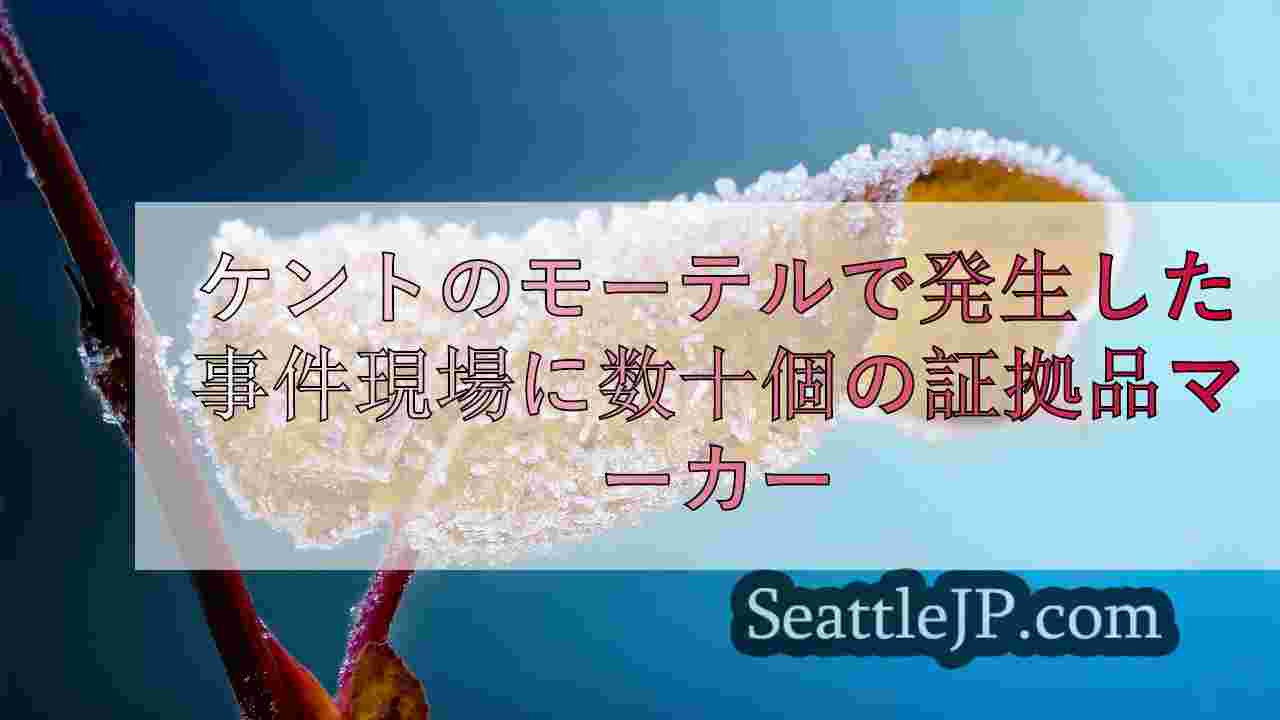 シアトルニュース SeattleJP