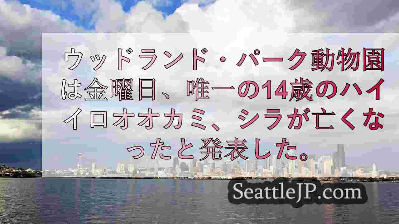 シアトルニュース SeattleJP