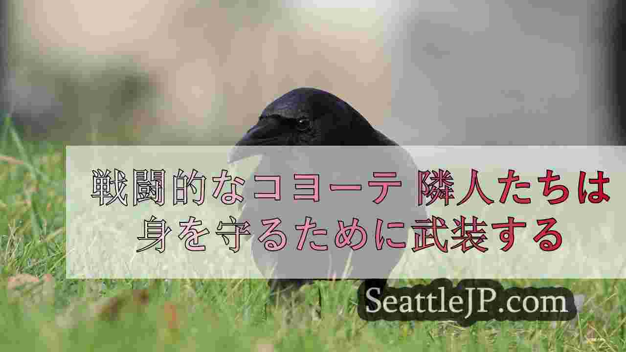 シアトルニュース SeattleJP