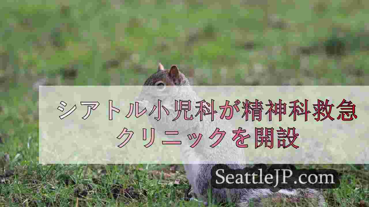 シアトルニュース SeattleJP