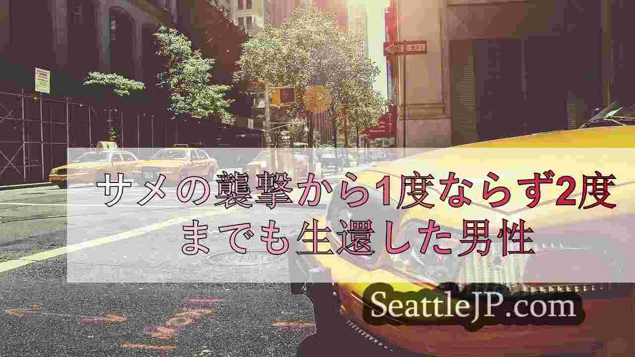 シアトルニュース SeattleJP