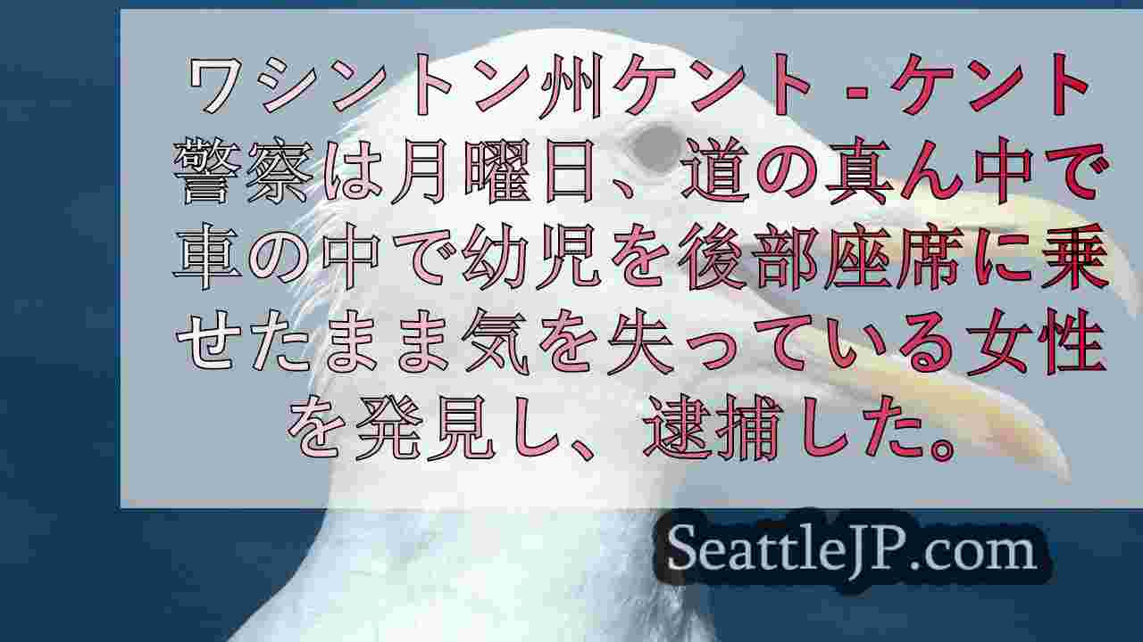 WA州の母親、後部座席に赤ん坊を乗せたまま車内で意識を失い飲酒運転で逮捕