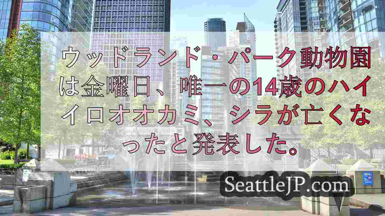 シアトルニュース SeattleJP