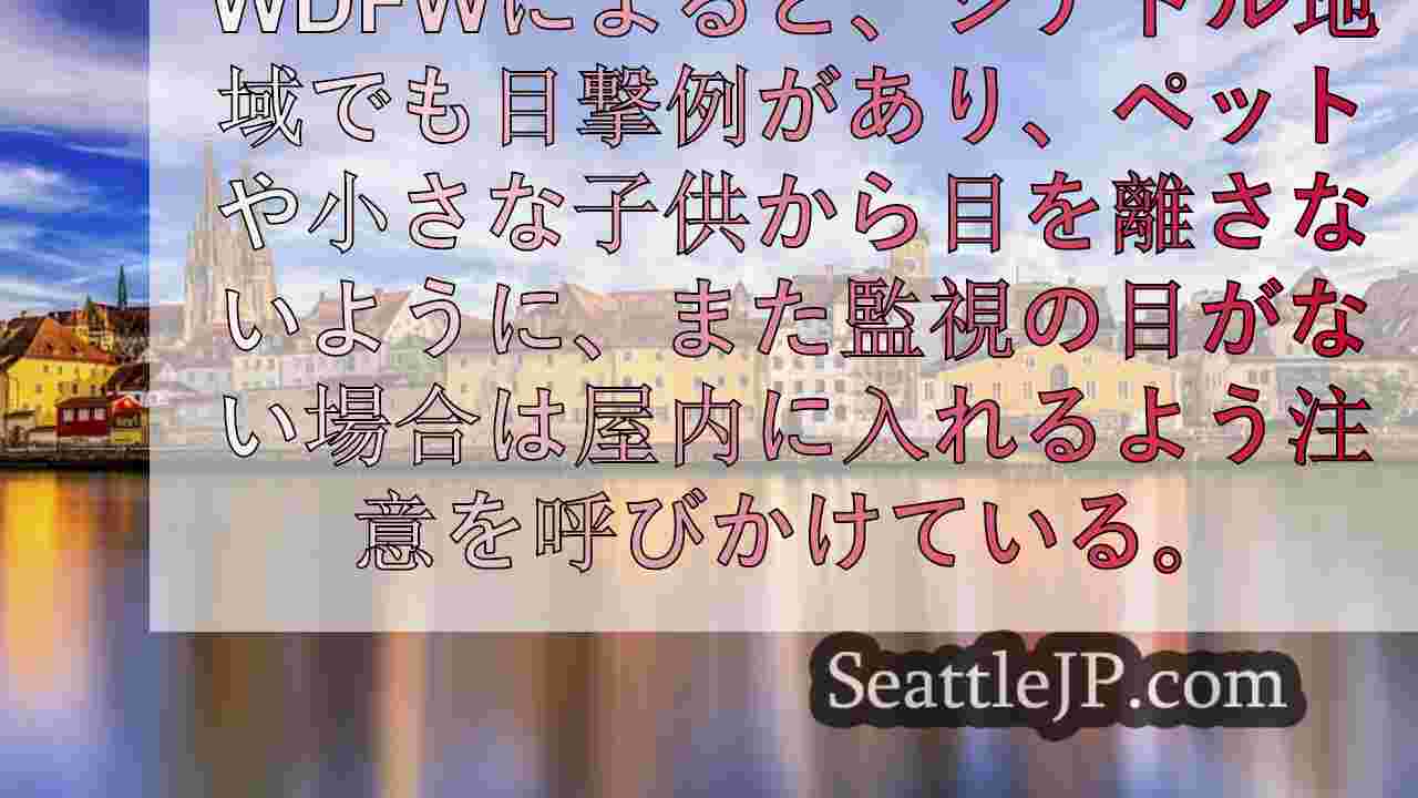 シアトルニュース SeattleJP