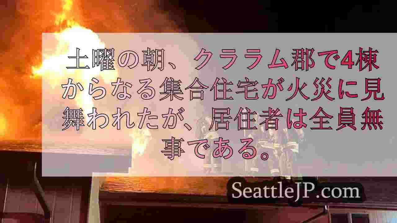 セキムで4棟の集合住宅火災、大きな怪我なく終了、ペットも救出