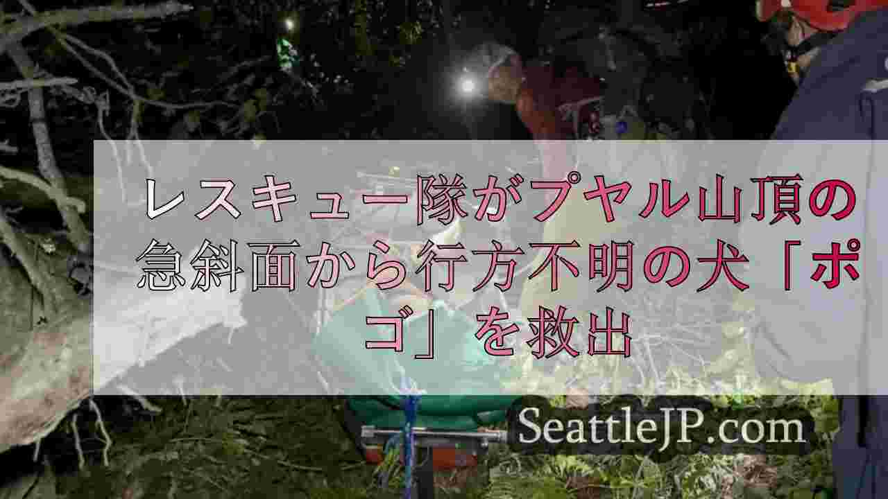 レスキュー隊がピュアラップ川上の急斜面から行方不明の犬「ポゴ」を救出