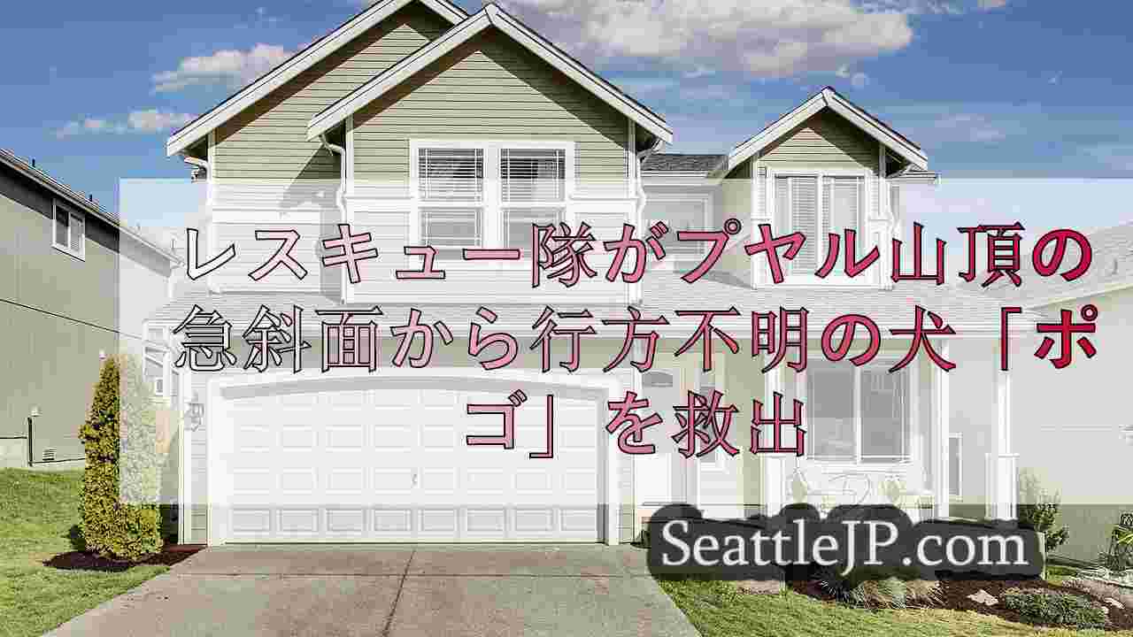 シアトルニュース SeattleJP