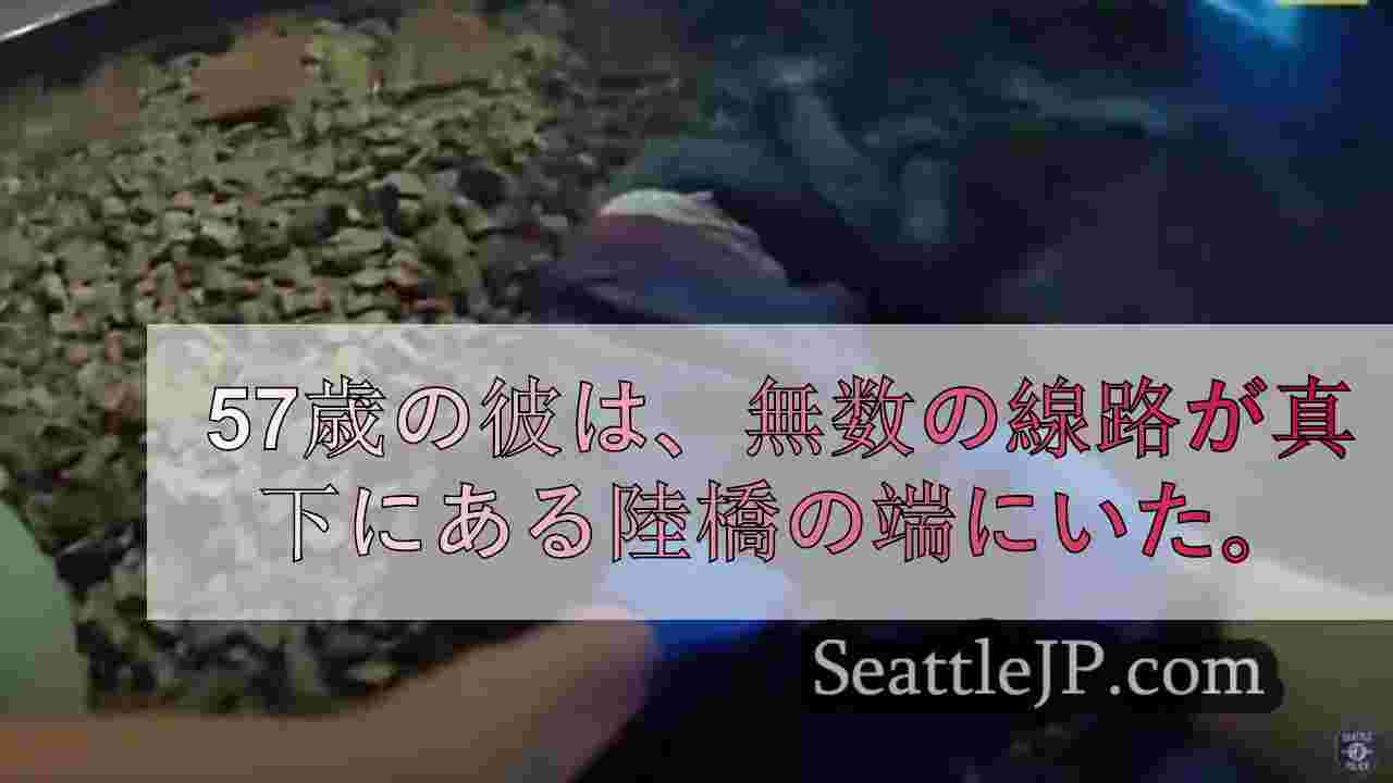 シアトルニュース SeattleJP