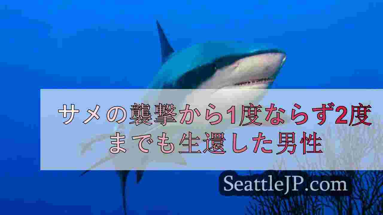 サメの襲撃から1度ならず2度までも生還した男性