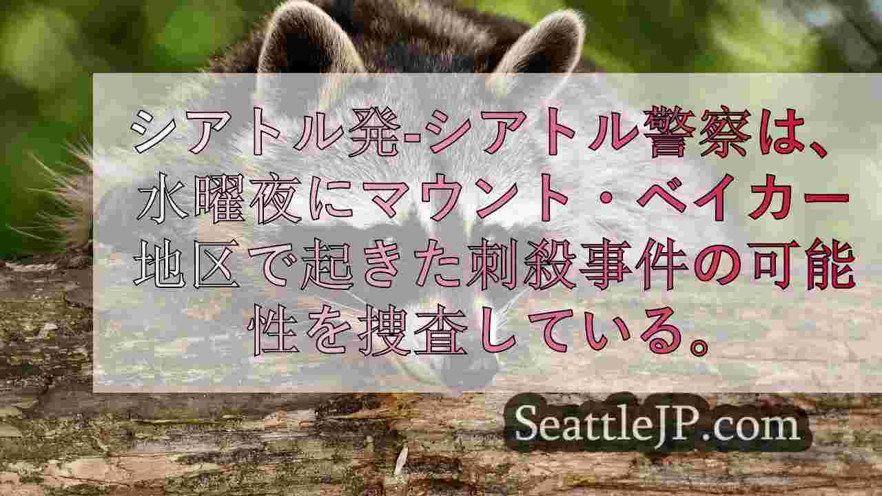 シアトルニュース SeattleJP