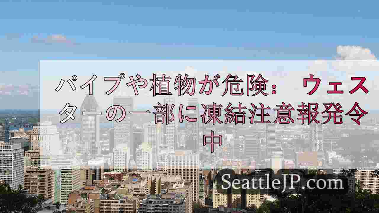 シアトルニュース SeattleJP