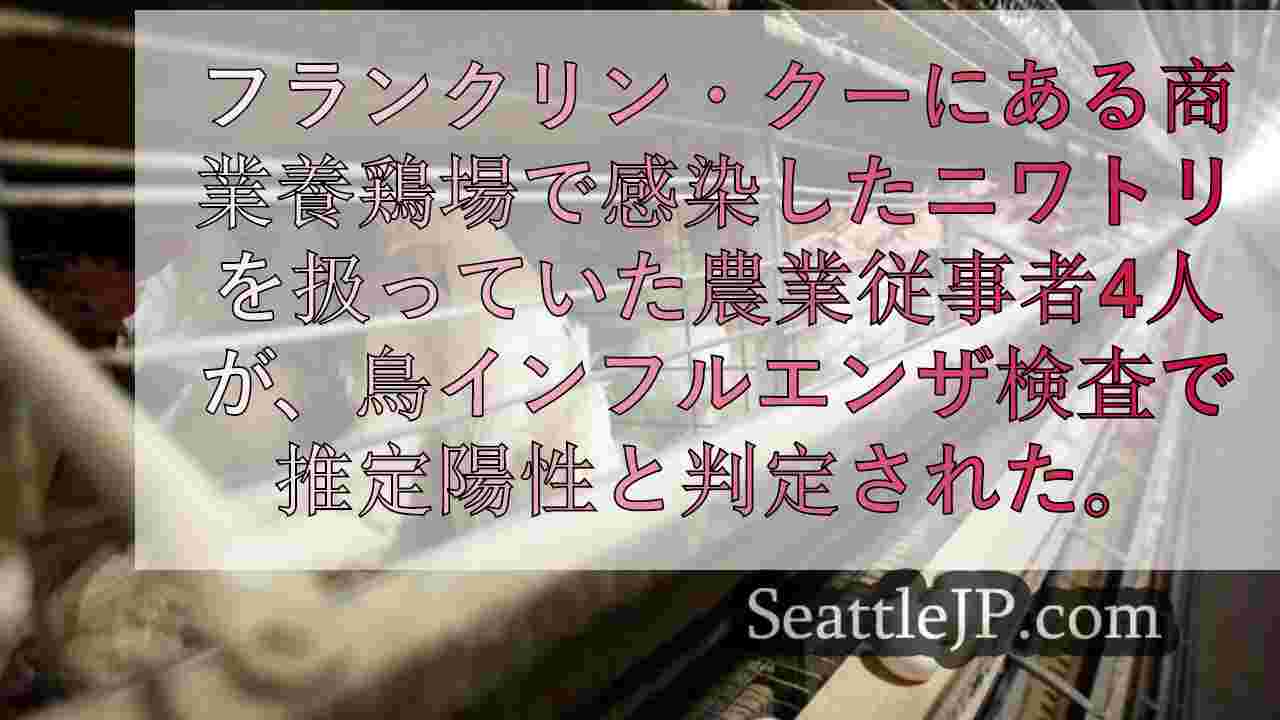 シアトルニュース SeattleJP